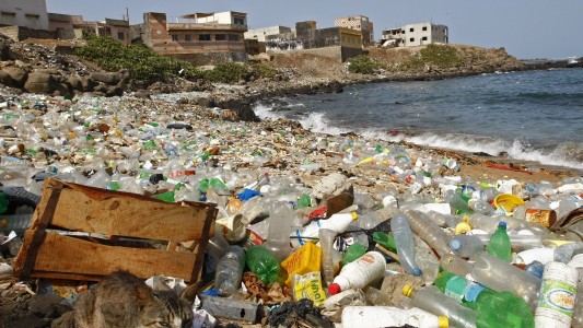 Zu viel Müll im Meer