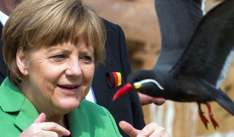 Eine Inka-Seeschwalbe zischt an Angela Merkel vorbei. (Foto: dpa)