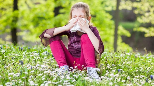 Was passiert bei einer Allergie – und was kann man dagegen tun?