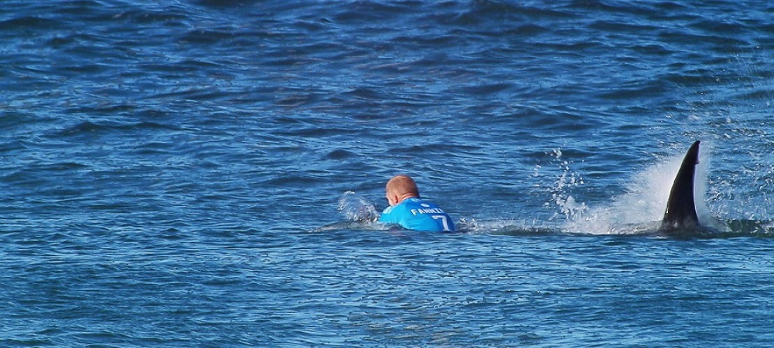 Surfer Mick Fanning rettet sich vor einem Hai