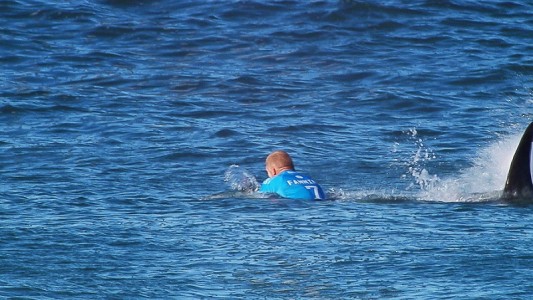 Surfer Mick Fanning rettet sich vor einem Hai