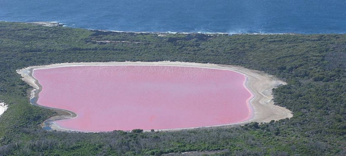 Wow - ganz schön pink! Der Lake Hillier_auf der australischen Insel auf der australischen Insel Middle Island. (Foto: Wikipedia Commons)