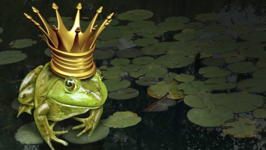 Nur eines von vielen Märchen: Der Froschkönig. (Foto: thinkstock)