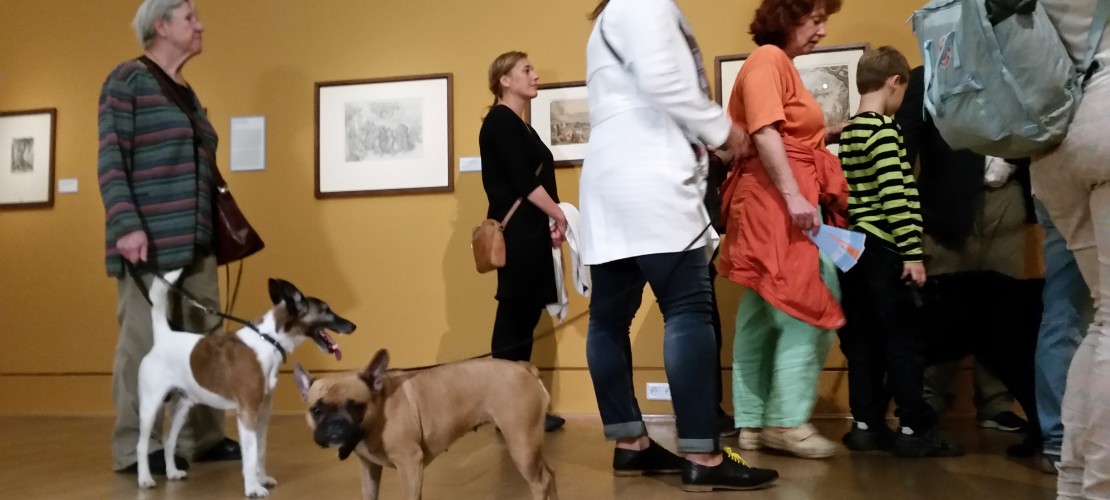 Im Museum haben die Hunde zwar Freundschaften geschlossen, für die Kunst haben sie sich aber nicht so sehr interessiert. (Foto: Annika Leister)
