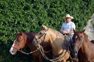Josef sieht mit seinem großen Hut aus wie ein Cowboy. Hier ist er mit seinen drei Pferden zu sehen: Mr. Joe, sein Bruder Smoky und Lady, die Mutter der beiden. (Foto: dpa)