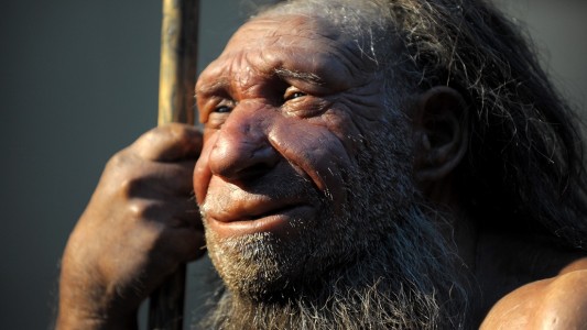 Wie klug waren Neandertaler?