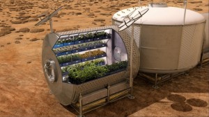 So ähnlich könnten Gemüsegärten auf dem Mars in Zukunft aussehen. (Foto: dpa)