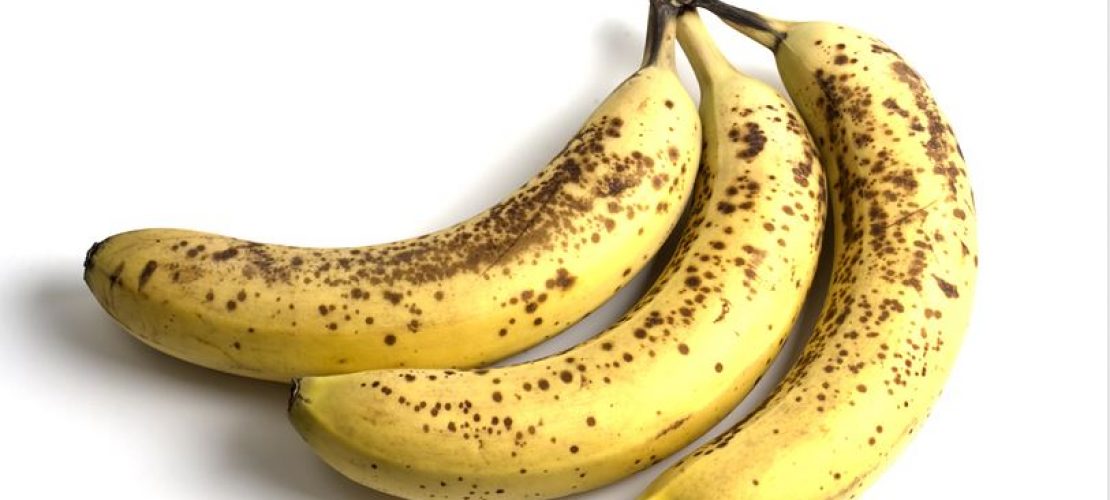 Bananen sind in Gefahr
