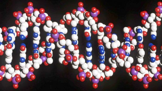Eine Strickleiter namens DNA