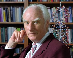 Francis Crick hat die DNA entdeckt. (Foto: dpa)