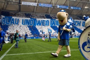 ARCHIV - Bundesliga - 31. Spieltag: FC Schalke 04 - VfB Stuttgart am 02.05.2015 in der Veltins-Arena in Gelsenkirchen. Schalkes Maskottchen "Erwin". Foto: Bernd Thissen/dpa +++(c) dpa - Bildfunk+++