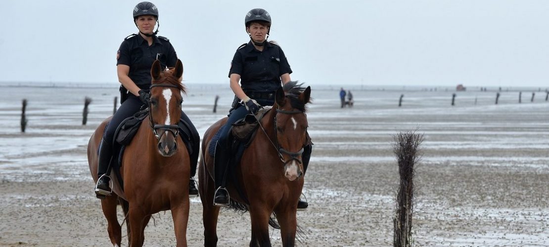 Polizei-Pferde am Strand