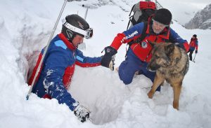 Lawinenhund Aico spürt Menschen im Schnee auf. (Foto: dpa)