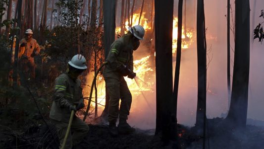 Riesen-Waldbrand in Portugal