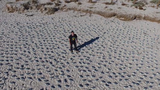Ein Wissenschaftler steht in der undatierten Aufnahme einer Drohne zwischen zahlreichen Gummi-Enten an einem Strand in Adelaide, Australien. (Foto: dpa)
