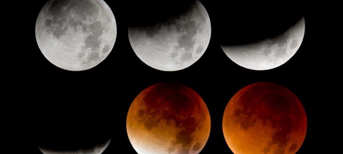 Die Bildkombo zeigt von links oben nach rechts unten die verschiedenen Phasen der totalen Mondfinsternis. Foto: Sven Hoppe/dpa