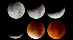 Die Bildkombo zeigt von links oben nach rechts unten die verschiedenen Phasen der totalen Mondfinsternis. Foto: Sven Hoppe/dpa