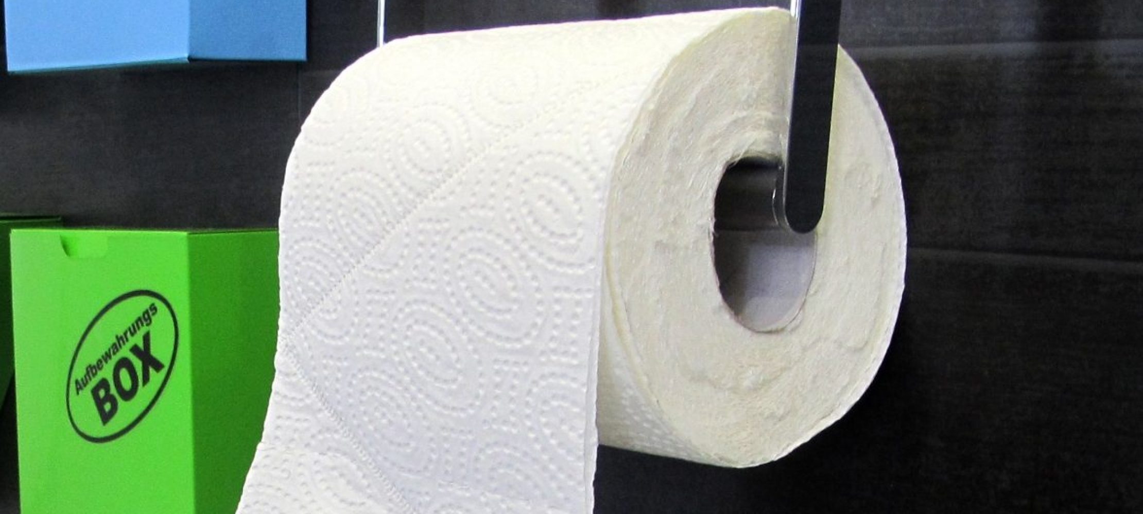 einzel verpackt 10 Rollen Toilettenpapier  Klopapier Wurfmaterial wie Kamelle 