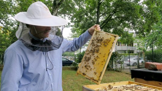 Nico Davids hat Bienenstöcke und kann so Honig ernten. Foto: Ginette Haußmann/dpa